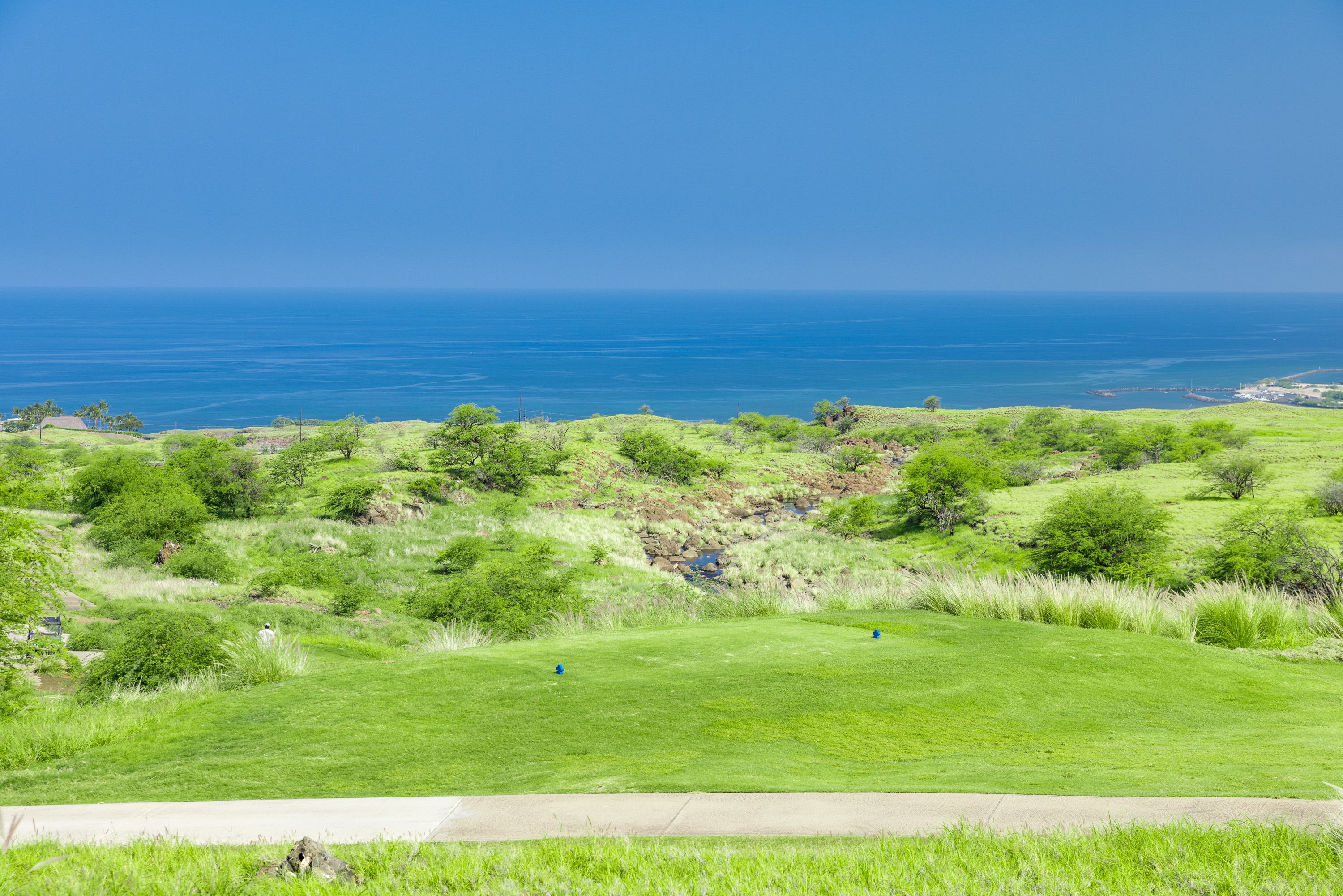 a view of a field with an ocean