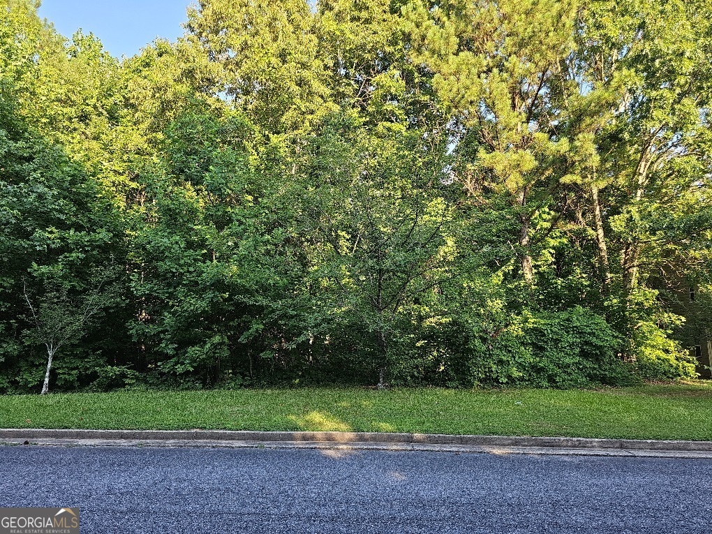 a view of outdoor space and yard