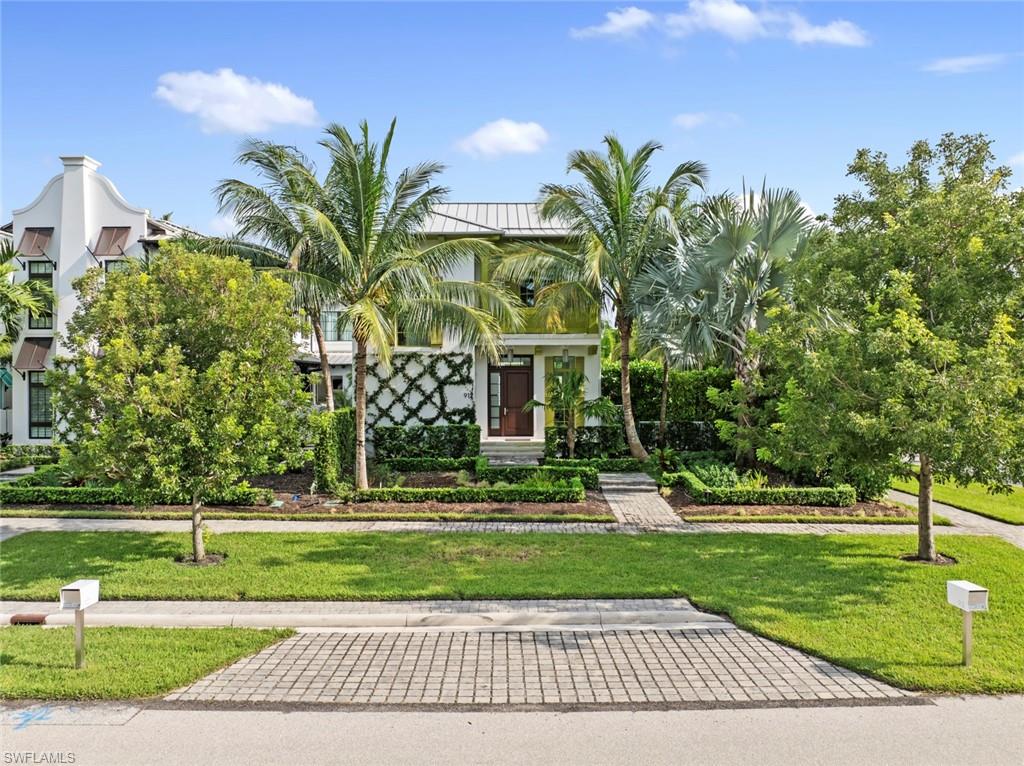 a view of a palm trees in a park