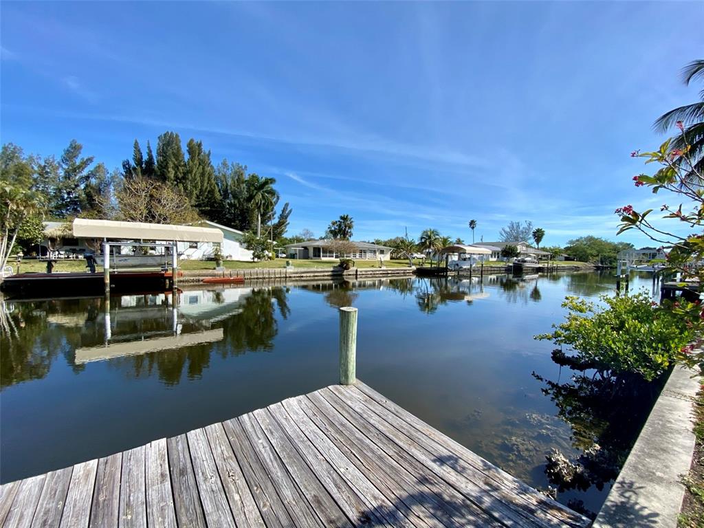 a view of a lake with boats and palm trees