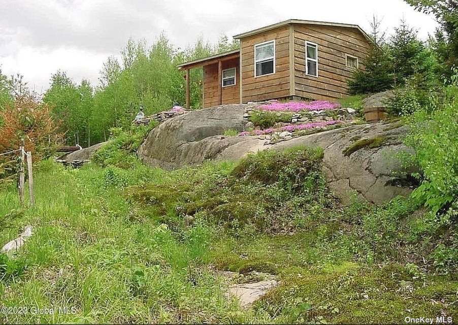 a front view of house with yard and trees