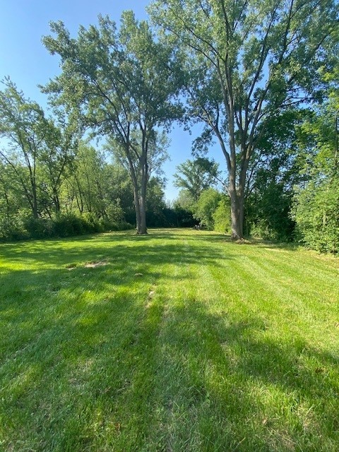 a view of a grassy field with trees