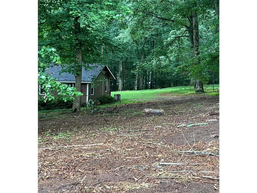 a view of a yard in front of a house