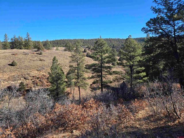 $300,000 | 359 Rd Pagosa Springs