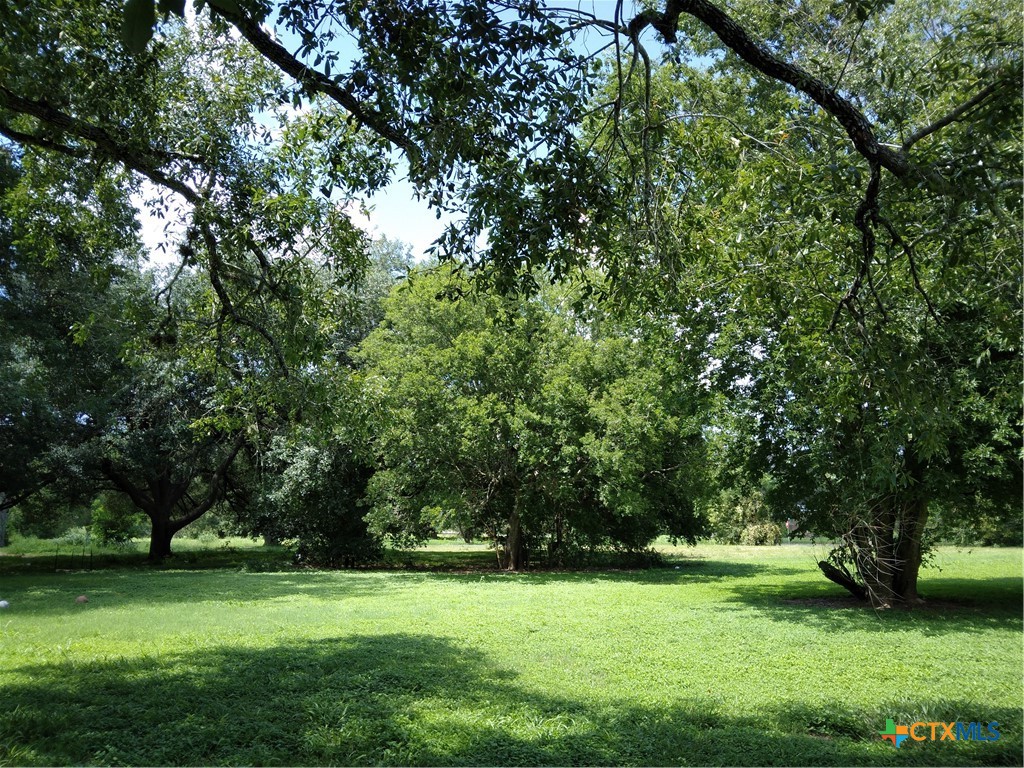 a view of a grassy field with trees