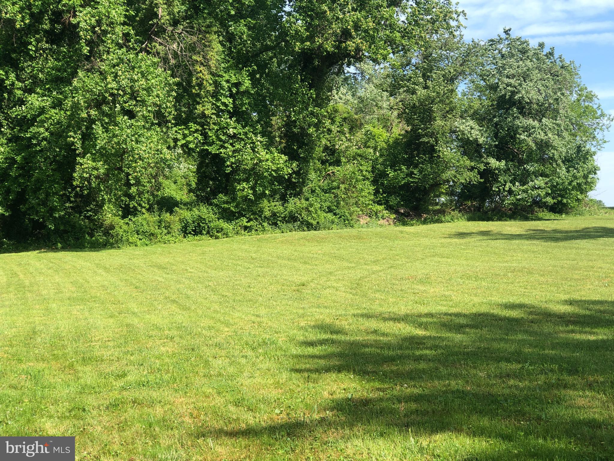 a view of a yard with a table and chair