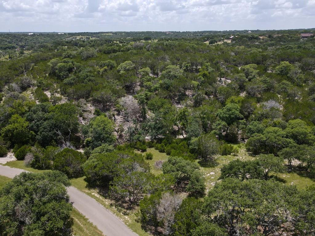 an aerial view of residential houses with outdoor space and trees