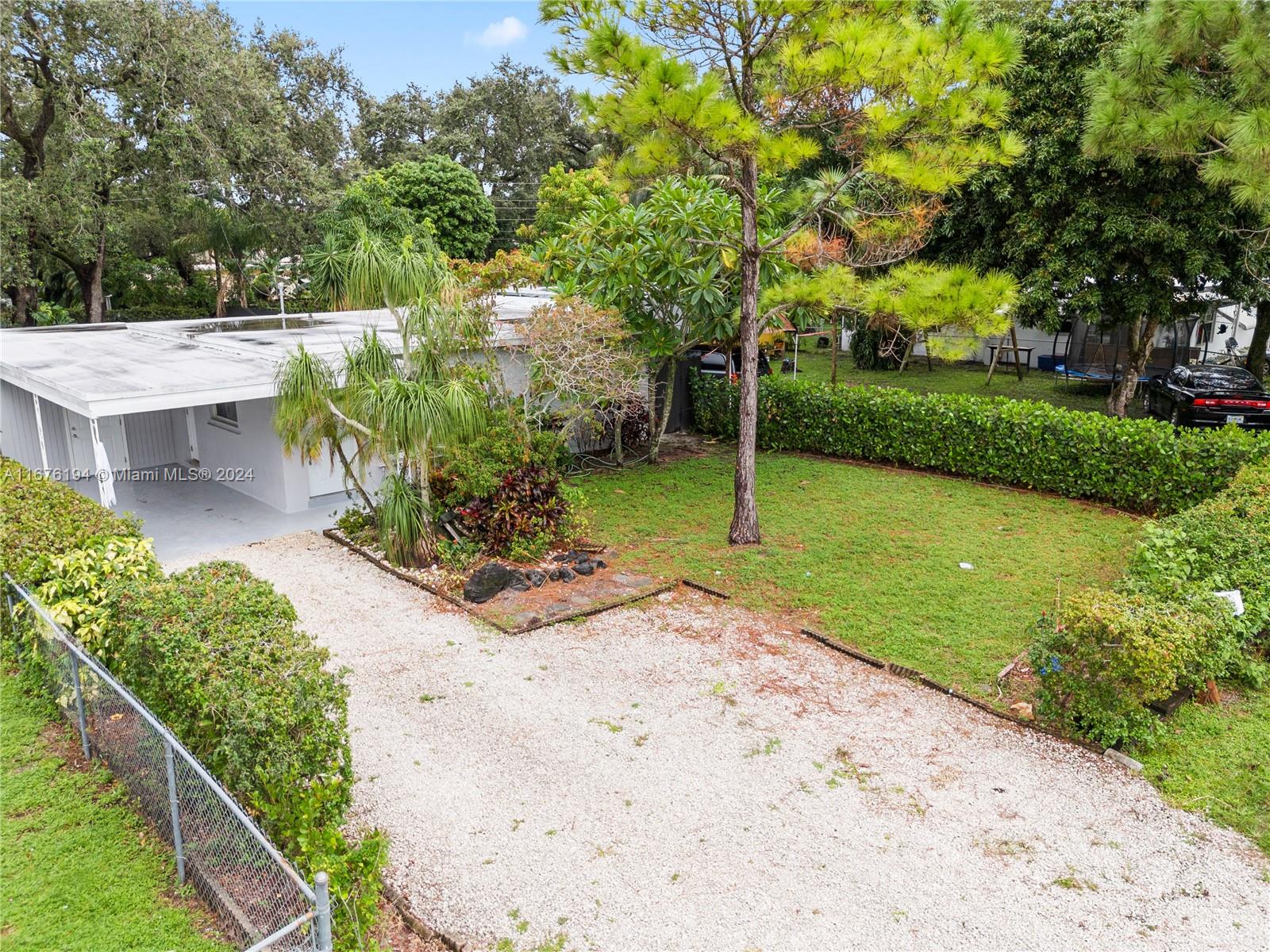 a view of a backyard with plants and palm tree