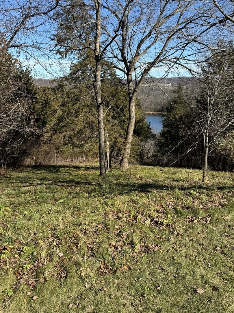 a view of backyard of green space