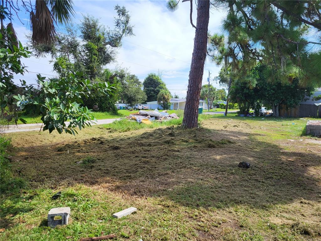 a view of a yard with plants