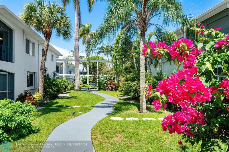 a view of a flower garden in front of house