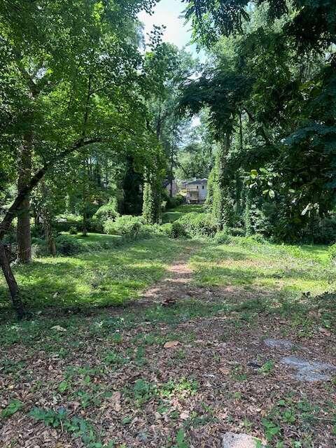 a view of outdoor space with trees all around