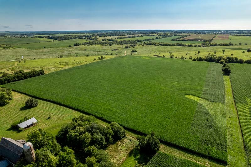 a view of a field with an ocean