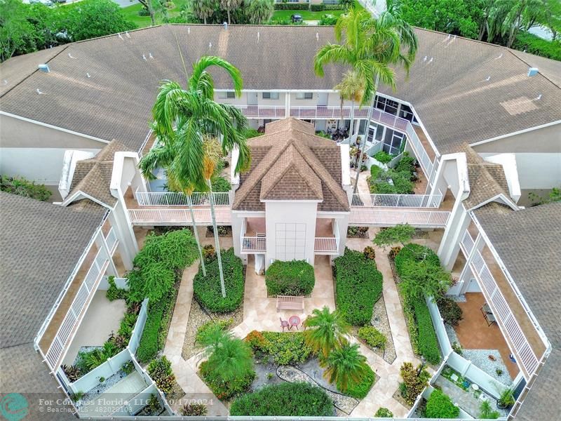 a aerial view of a house with a yard plants and large tree