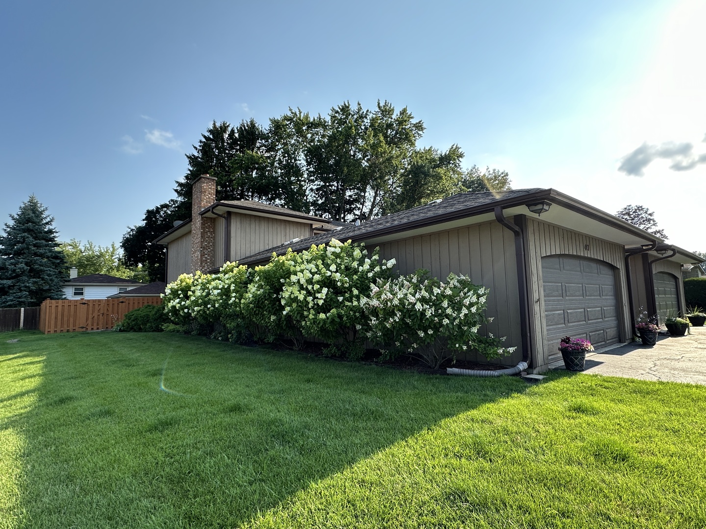 a view of a back yard with flower plants and large tree