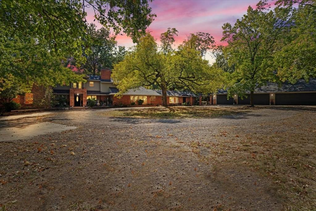 a view of a yard with trees