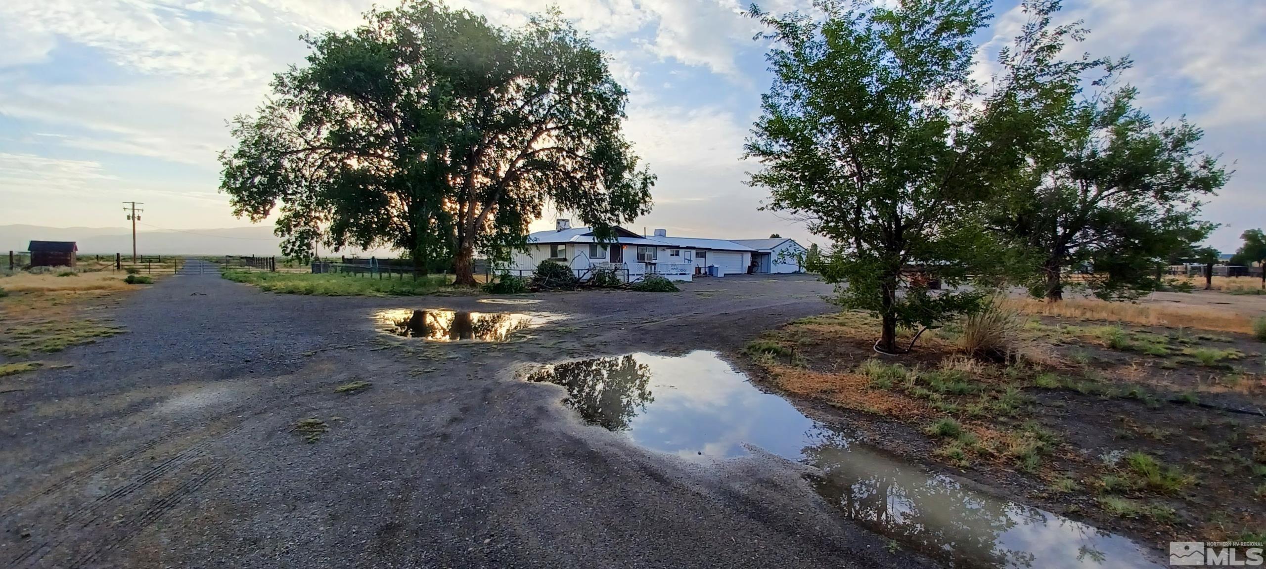 a view of a yard with plants and trees