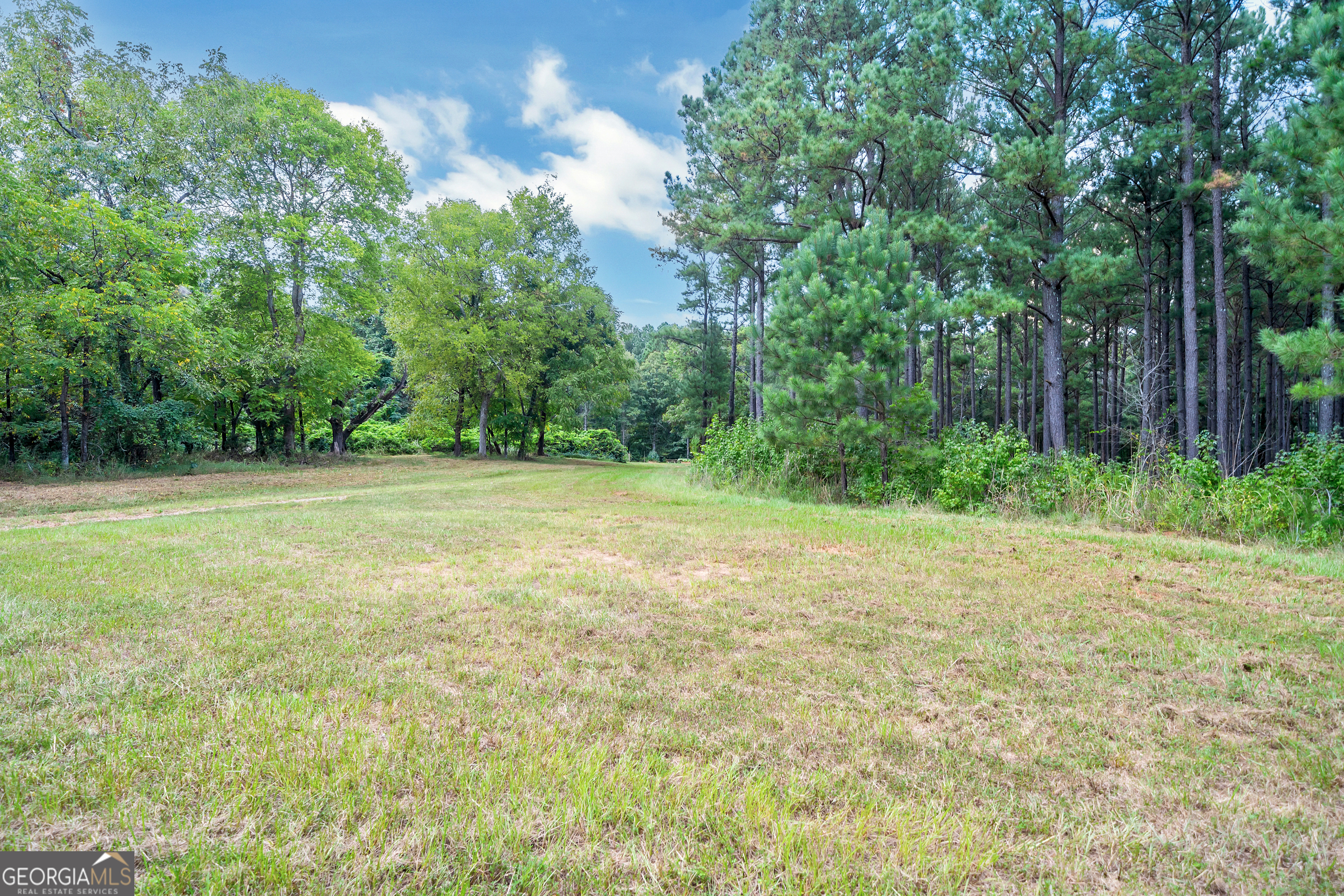 a view of a field with trees in the background