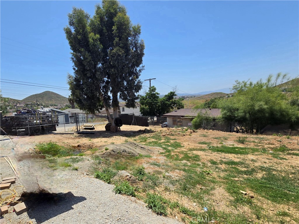 a view of a yard with plants and a tree