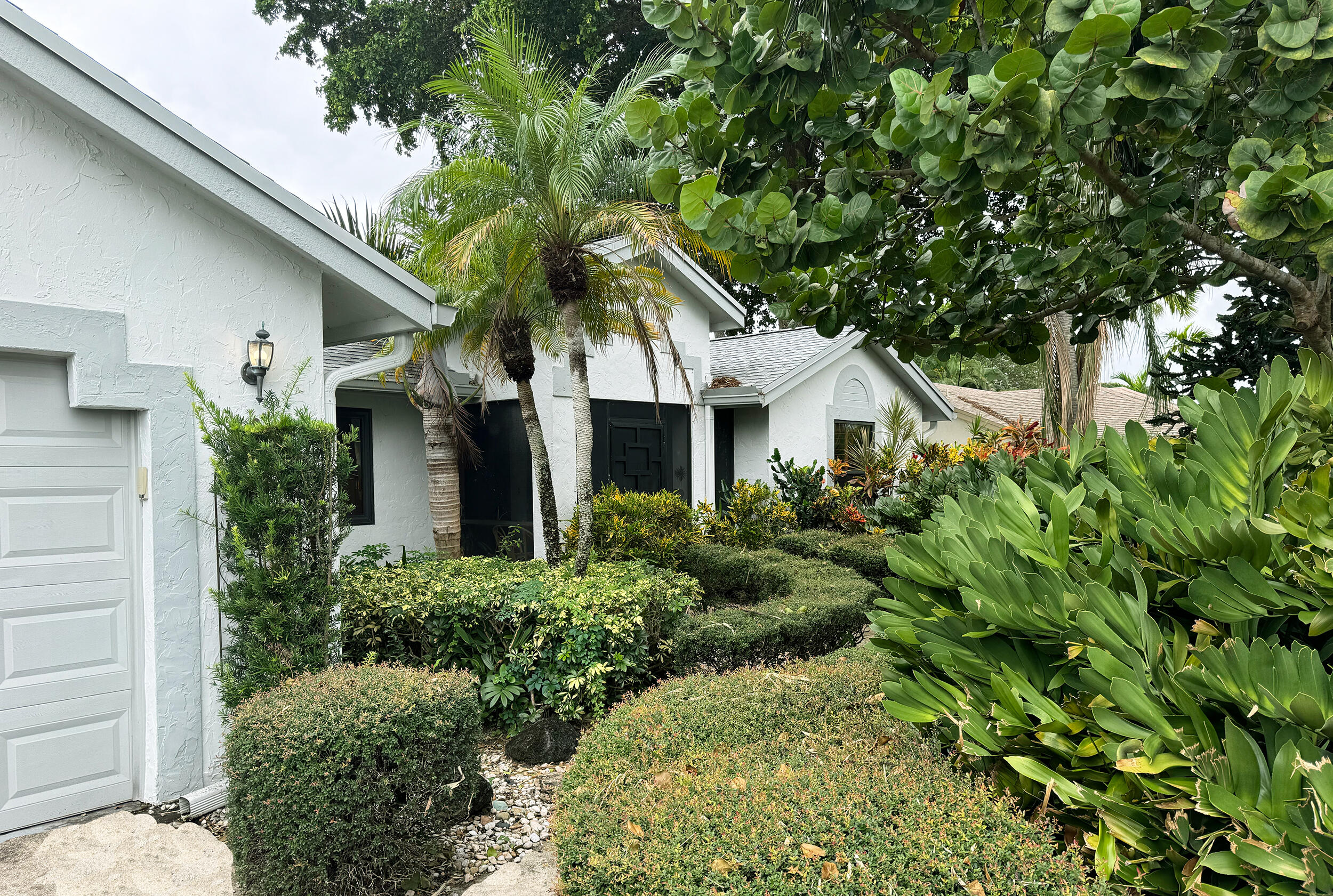 a white house with a small yard plants and a large tree