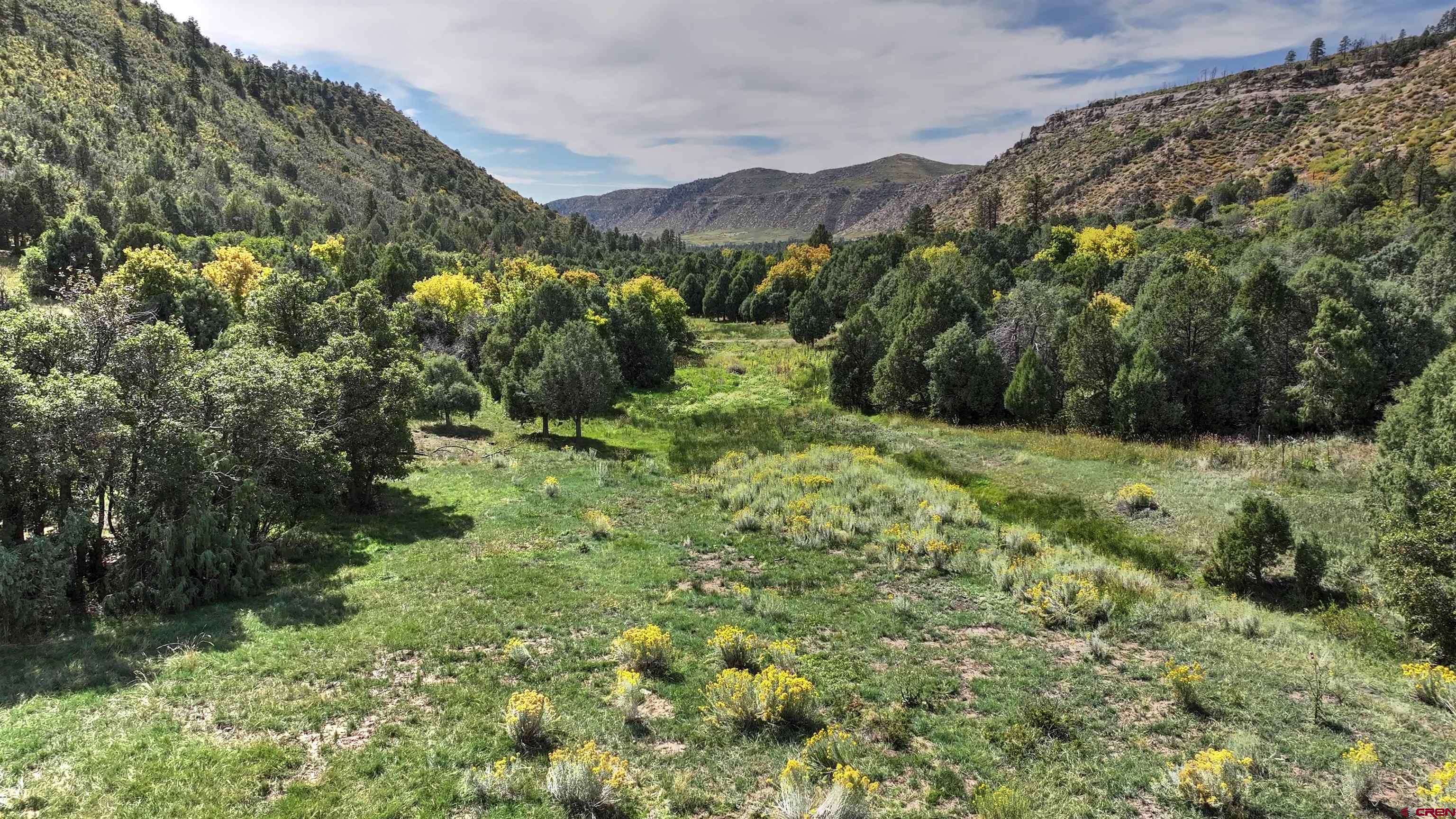 a view of a lush green field with mountains in the background