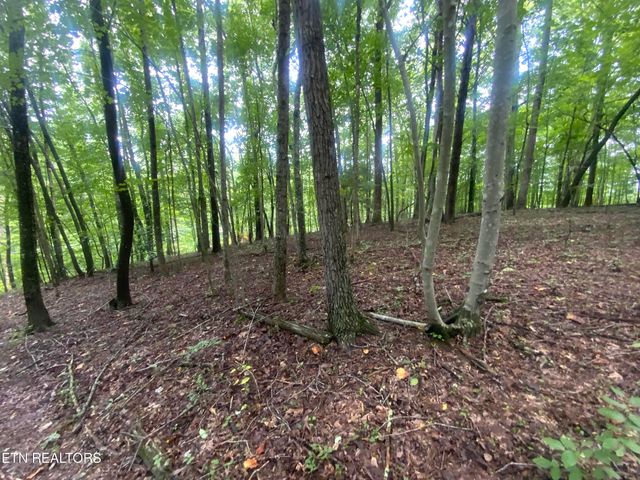 $59,900 | Lot 121 Hiawassee View Drive