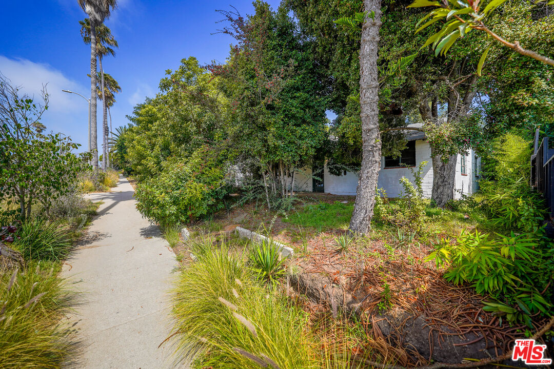 a view of backyard of house