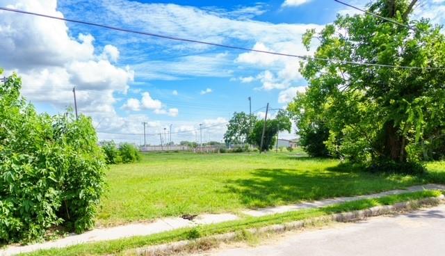 a view of a big yard with a house in the background