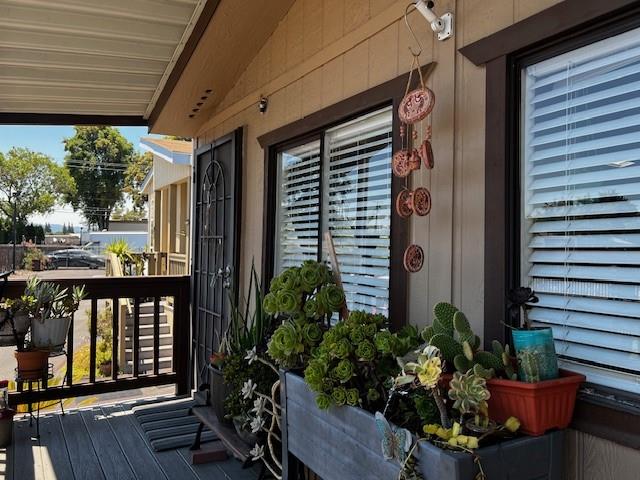 a potted plant sitting in front of a house