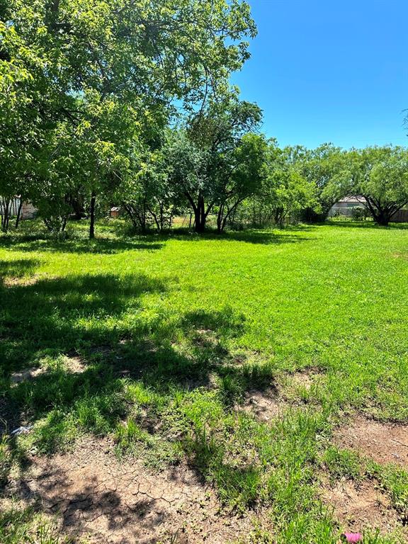 a view of yard with green space