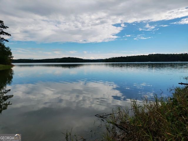 a view of a lake in between the river and covered trees