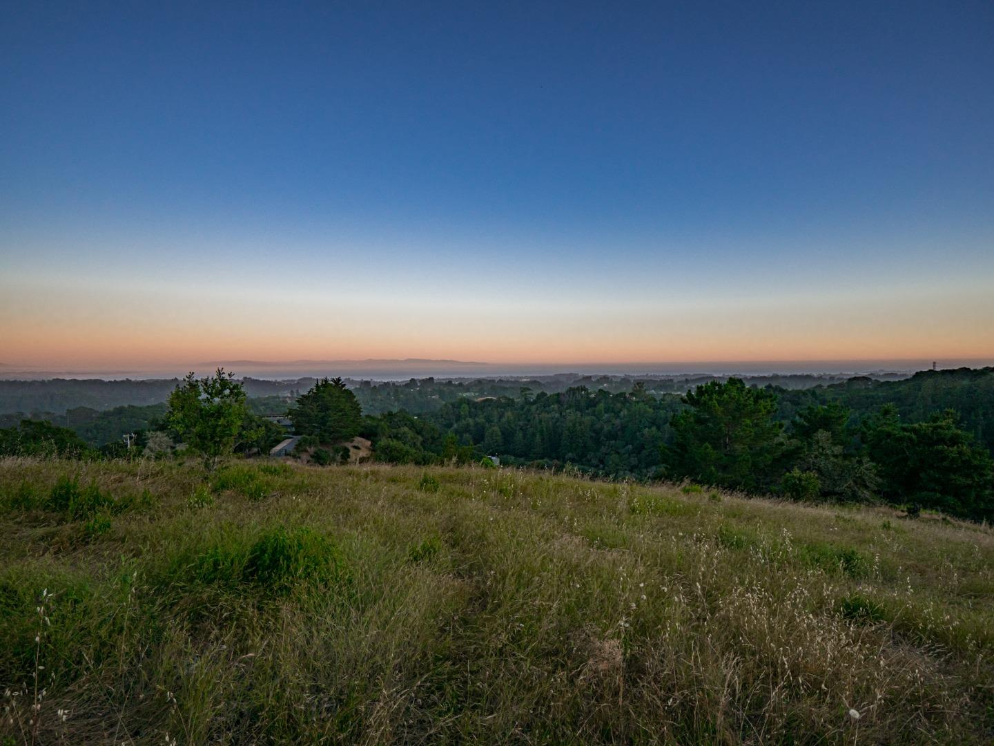 a view of a city with lush green forest