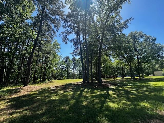 a view of outdoor space with trees all around