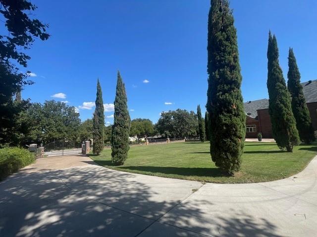 a view of a park with large trees