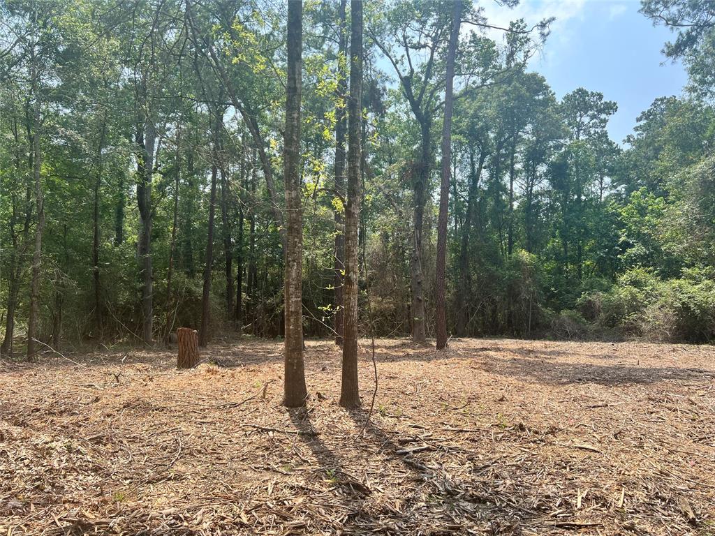 a view of outdoor space with trees