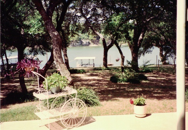 a view of yard with green space