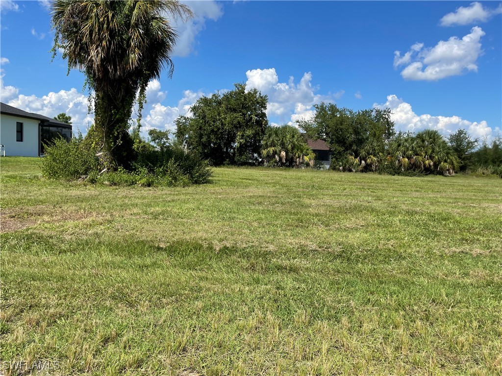 a view of a field with an trees