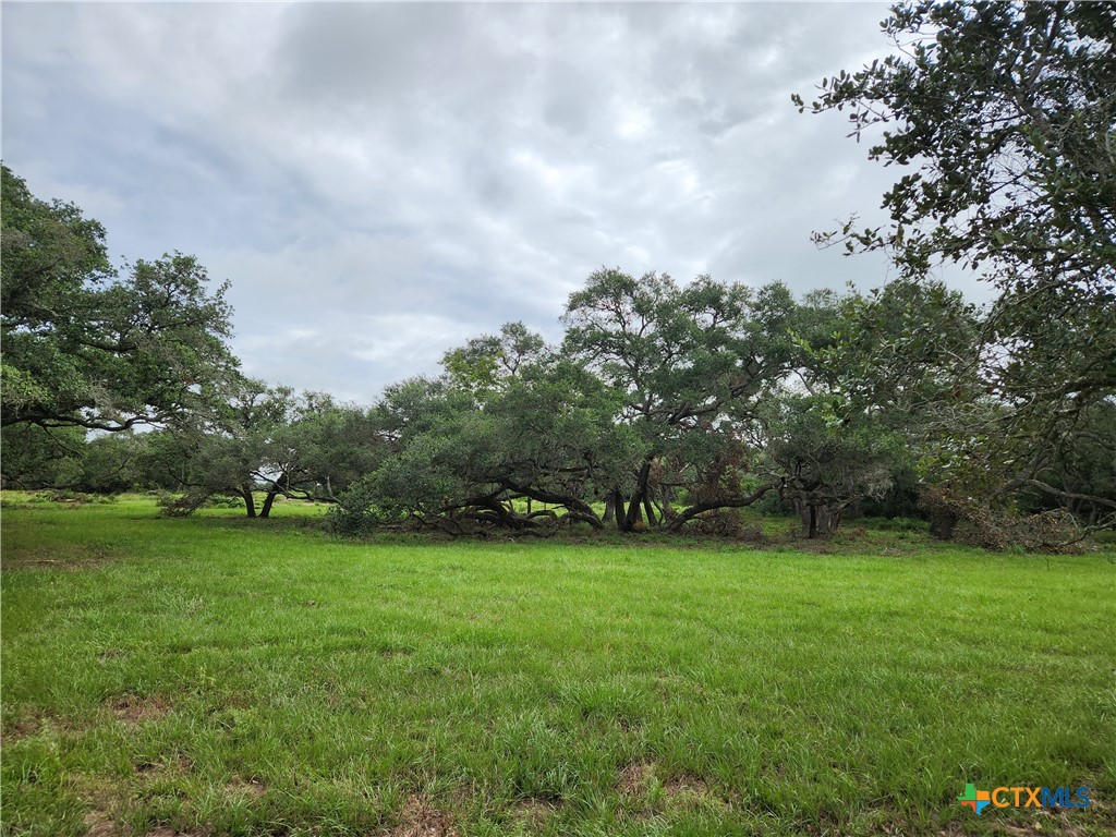 a view of a green field with trees in the background