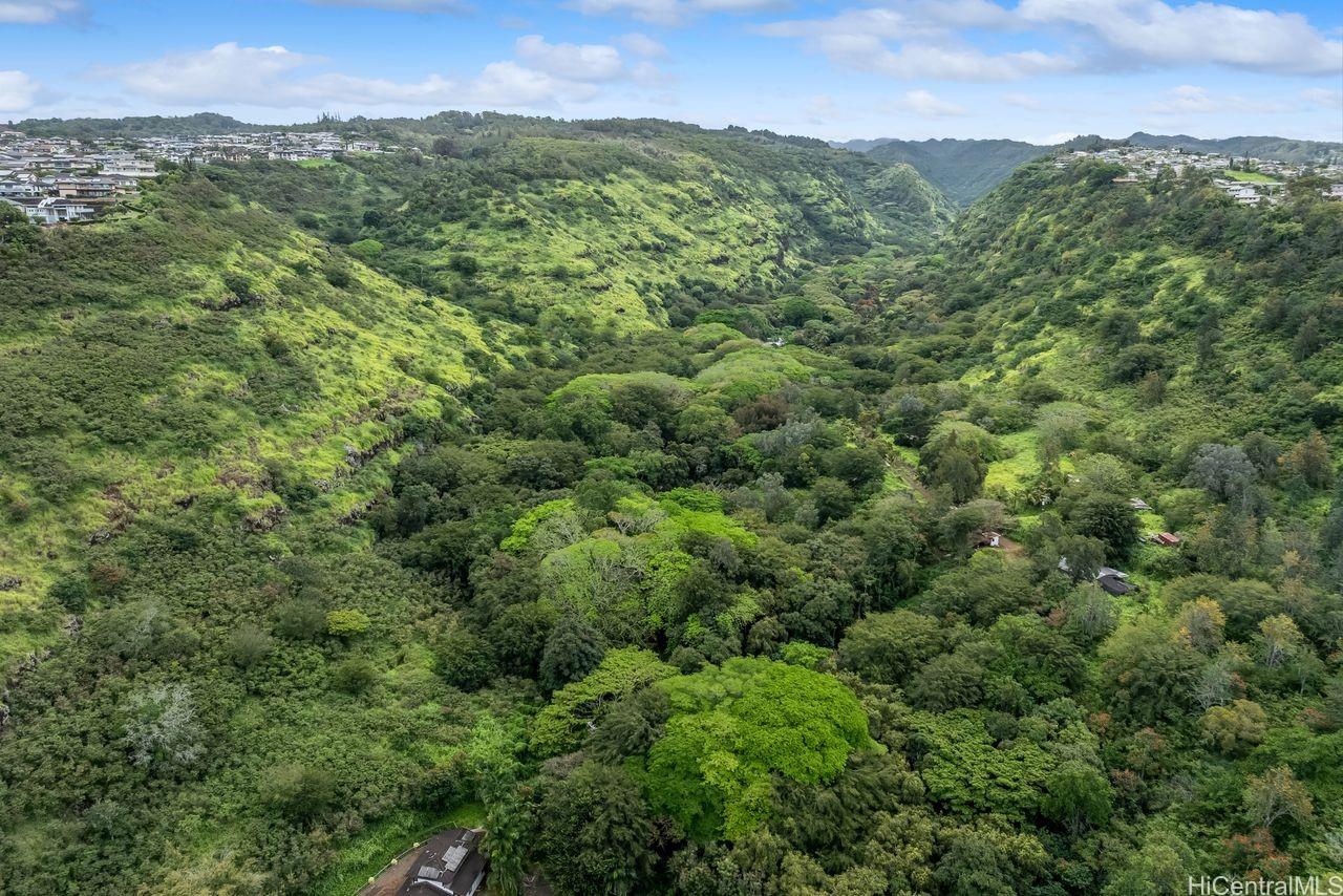 a view of a green field with lots of bushes