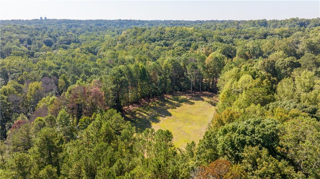 a view of a forest with a house