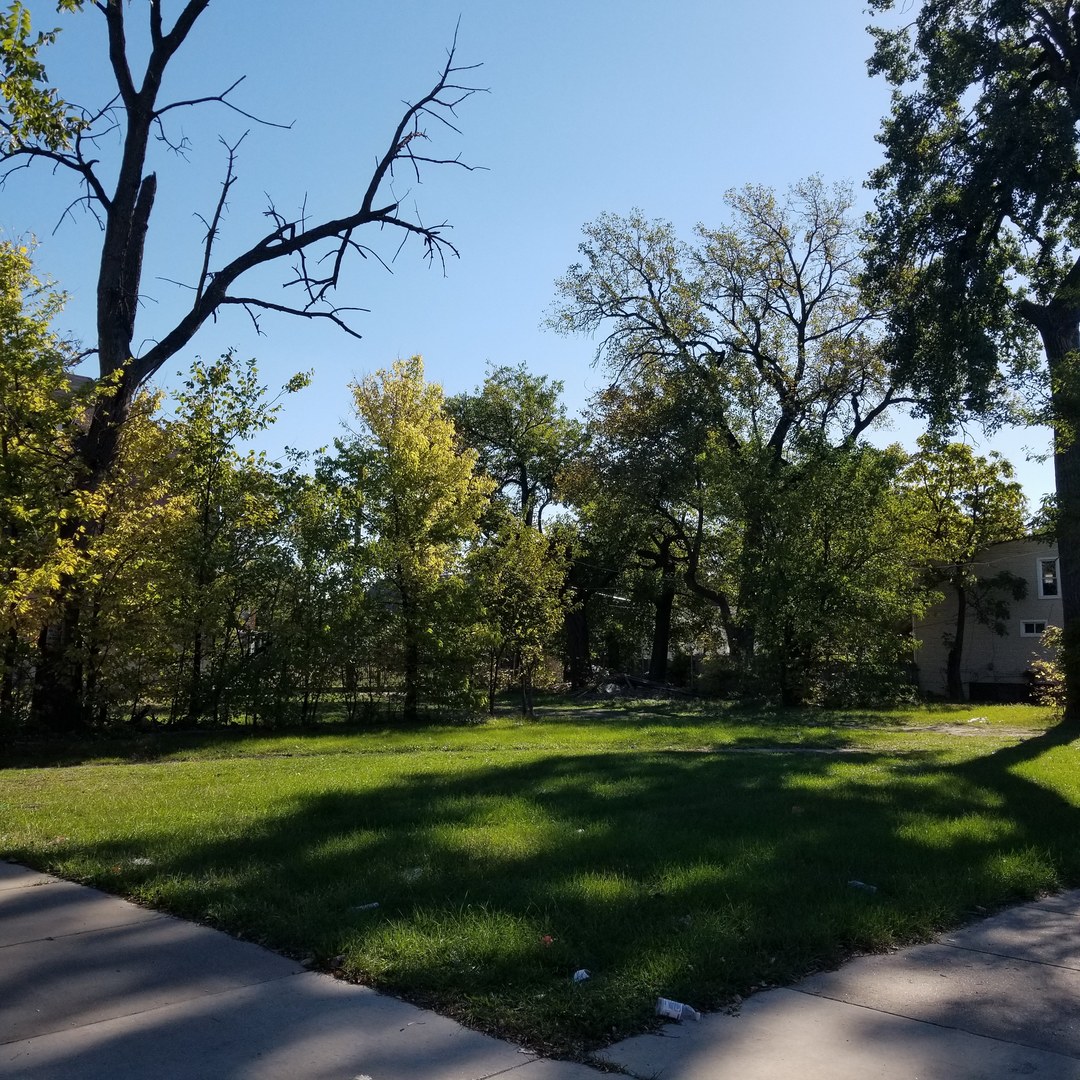 a view of a park