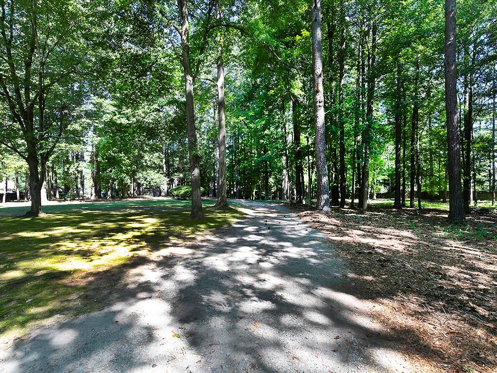 a view of outdoor space with trees all around