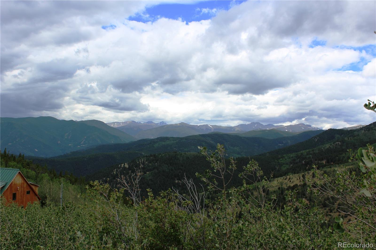 a view of a bunch of trees