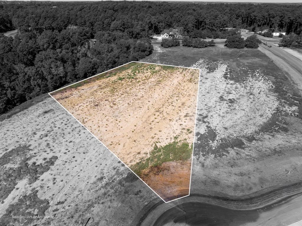 a view of a dry yard with trees