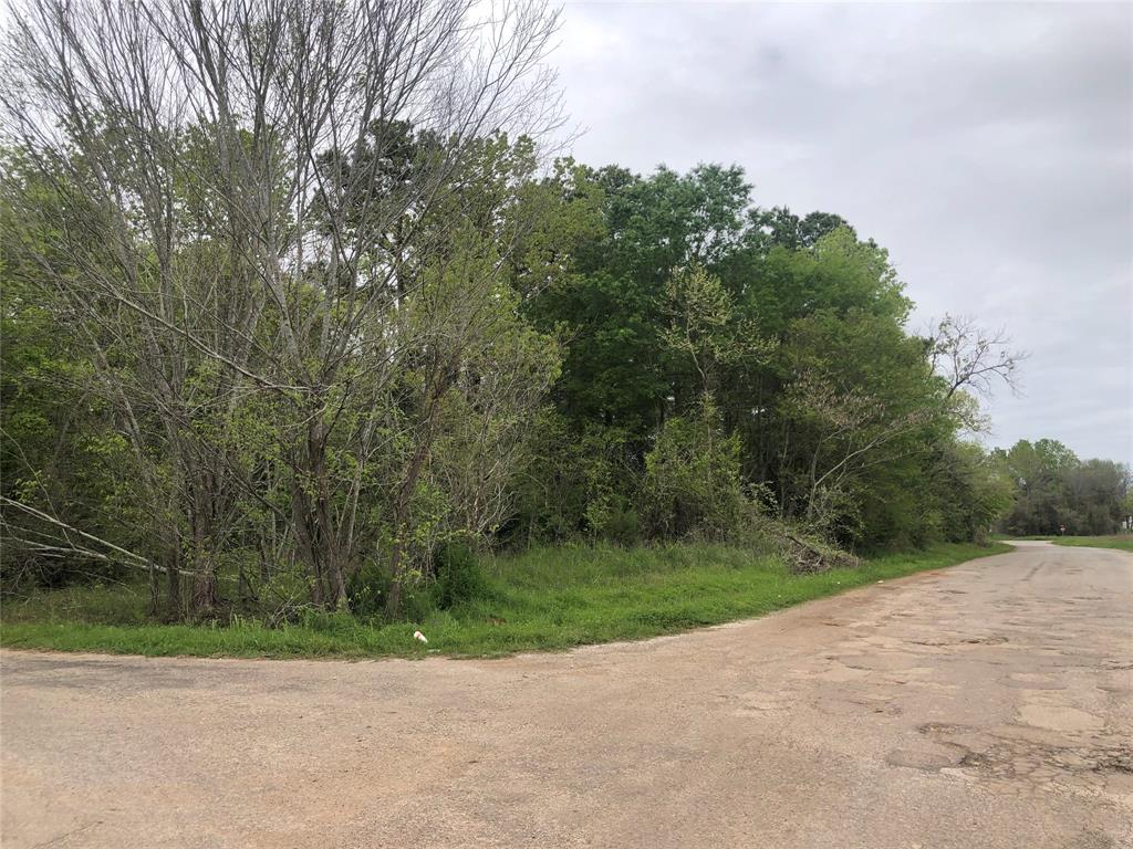 a view of a road with a trees