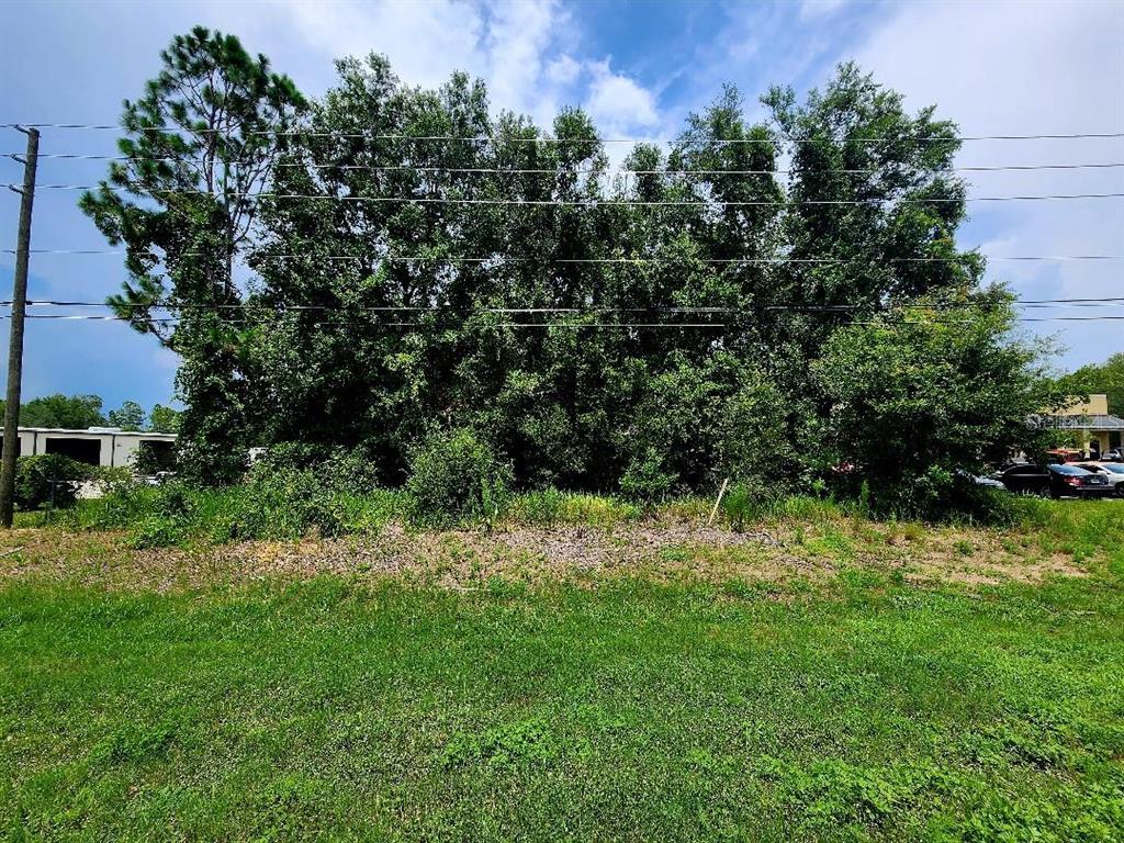 a view of a yard with a tree