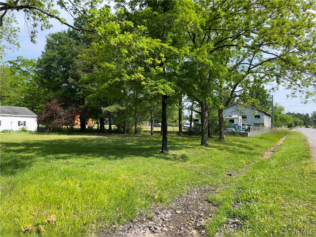 a garden view