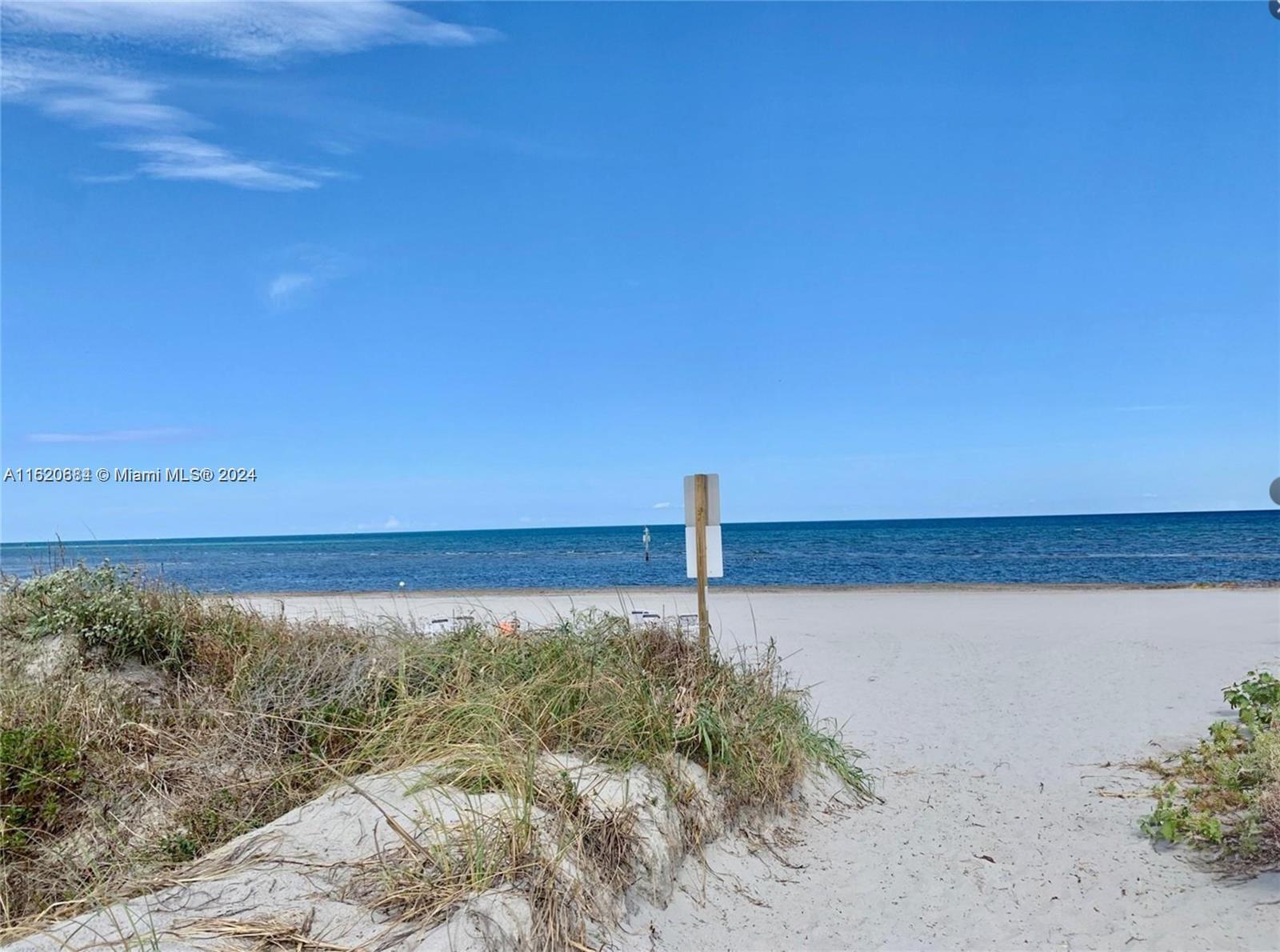 a view of beach and ocean