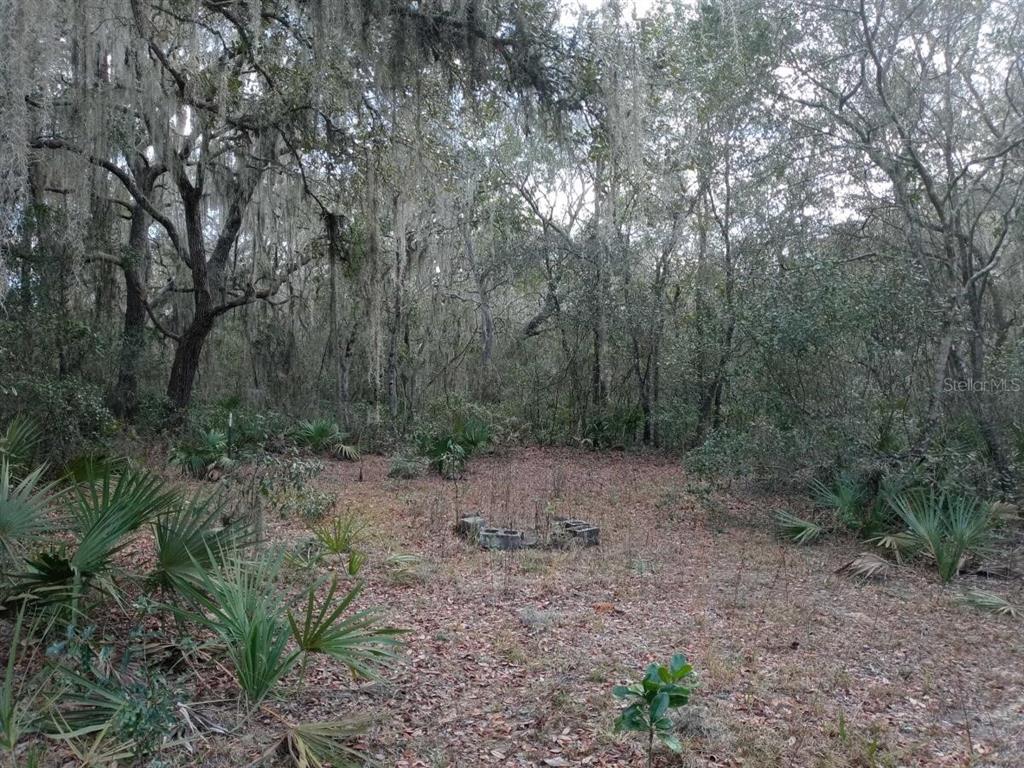 a view of a yard with a tree