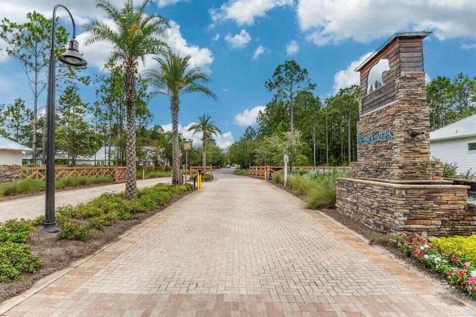 a view of a park with plants and trees